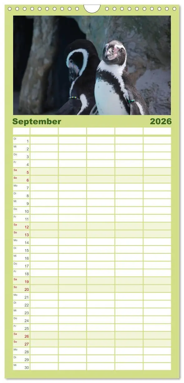 Bild: 9783516519921 | Familienplaner 2026 - Pinguine 2026 mit 5 Spalten (Wandkalender, 21...