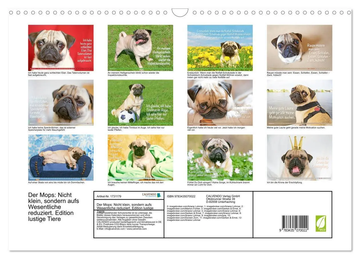 Bild: 9783435070022 | Der Mops: Nicht klein, sondern aufs Wesentliche reduziert. Edition...