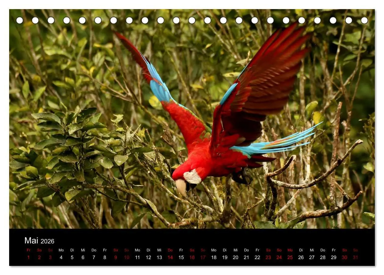 Bild: 9783457920022 | Ama la Vida Ecuador (Tischkalender 2026 DIN A5 quer), CALVENDO...