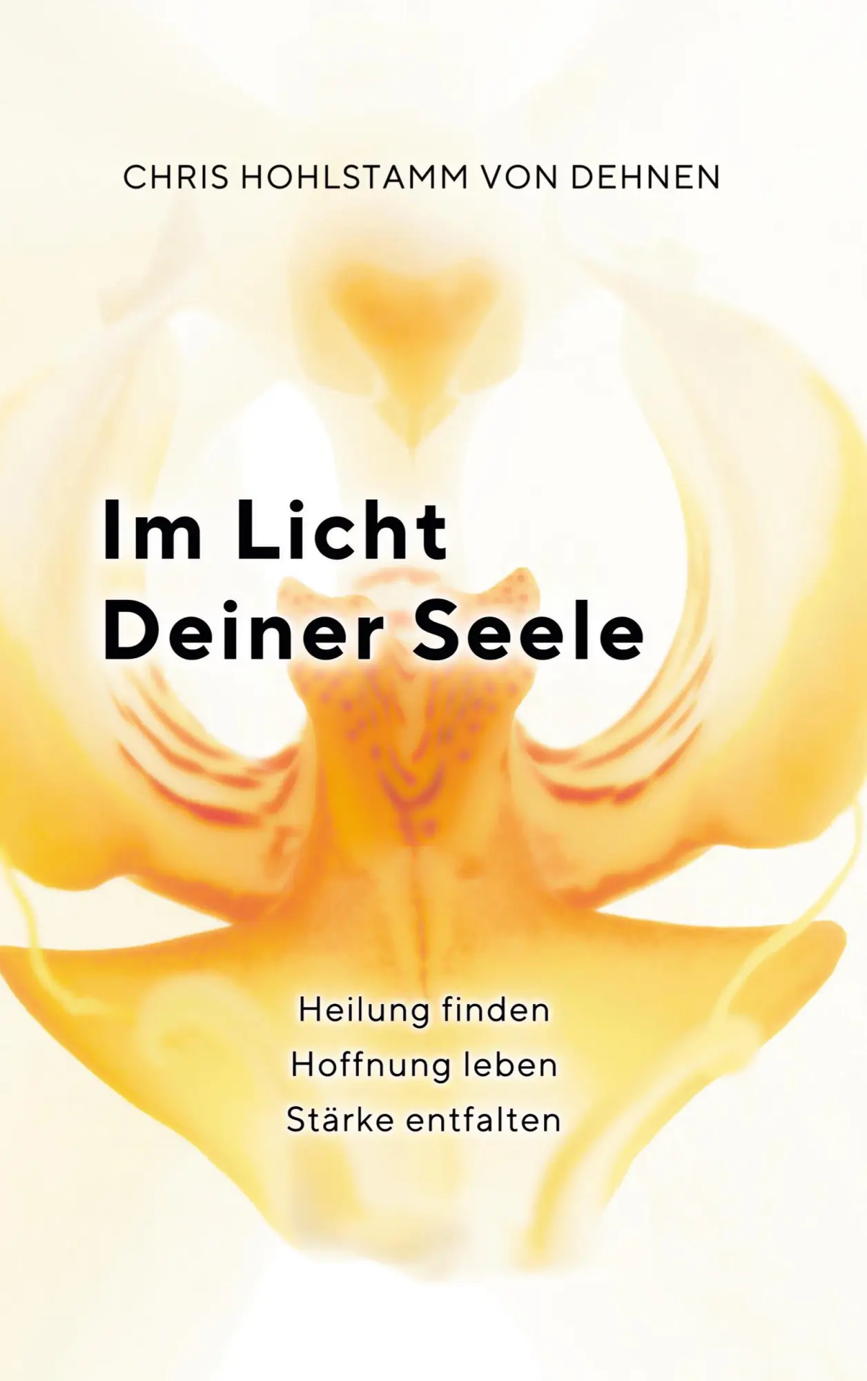 Cover: 9783769320022 | Im Licht deiner Seele | Chris Hohlstamm von Dehnen | Taschenbuch