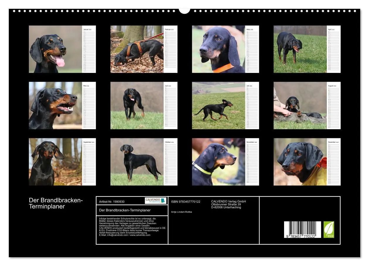 Bild: 9783457770122 | Der Brandlbracken-Terminplaner (hochwertiger Premium Wandkalender...