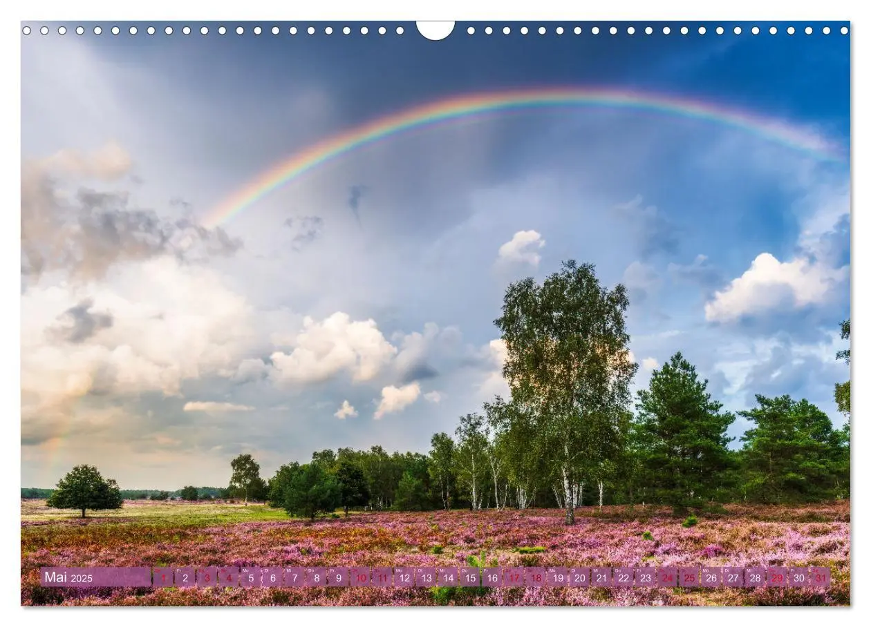 Bild: 9783383960222 | Romantische Heideblüte (Wandkalender 2025 DIN A3 quer), CALVENDO...