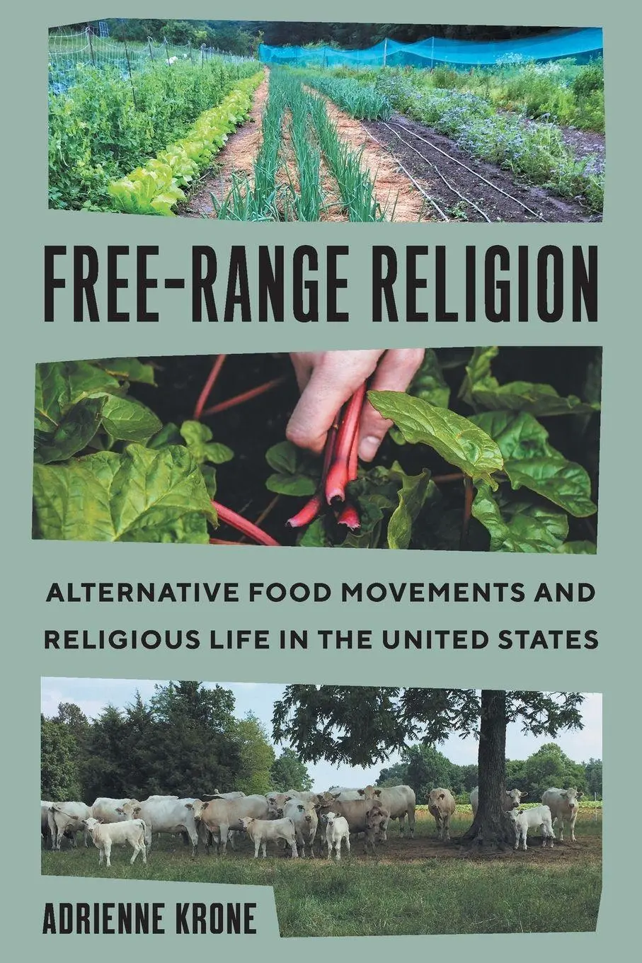 Cover: 9781469690322 | Free-Range Religion | Adrienne Krone | Taschenbuch | Englisch | 2025