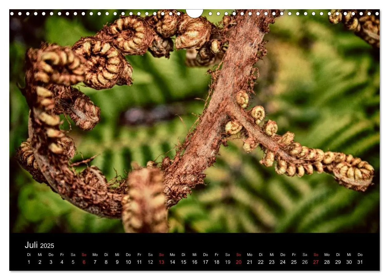 Bild: 9783435660322 | Neuseeland extrem (Wandkalender 2025 DIN A3 quer), CALVENDO...