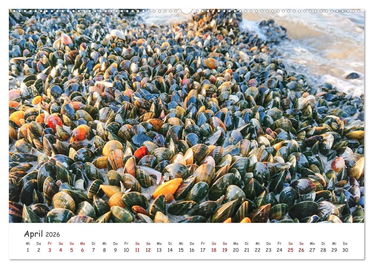 Bild: 9783457750322 | Dünen und Meer Nordseemomente (Wandkalender 2026 DIN A2 quer),...