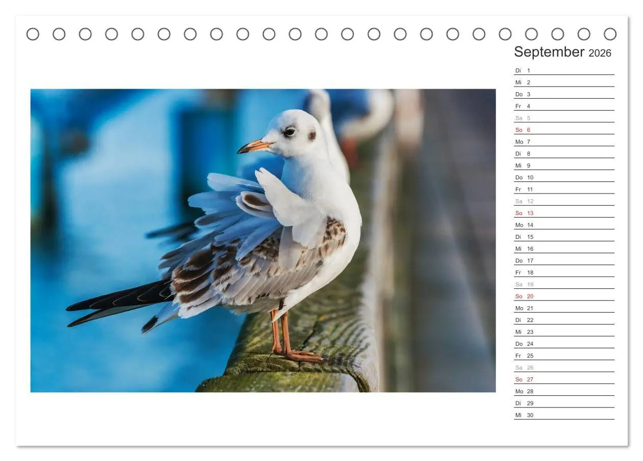 Bild: 9783516220322 | Zeit für Erholung - Insel Usedom / Geburtstagskalender...