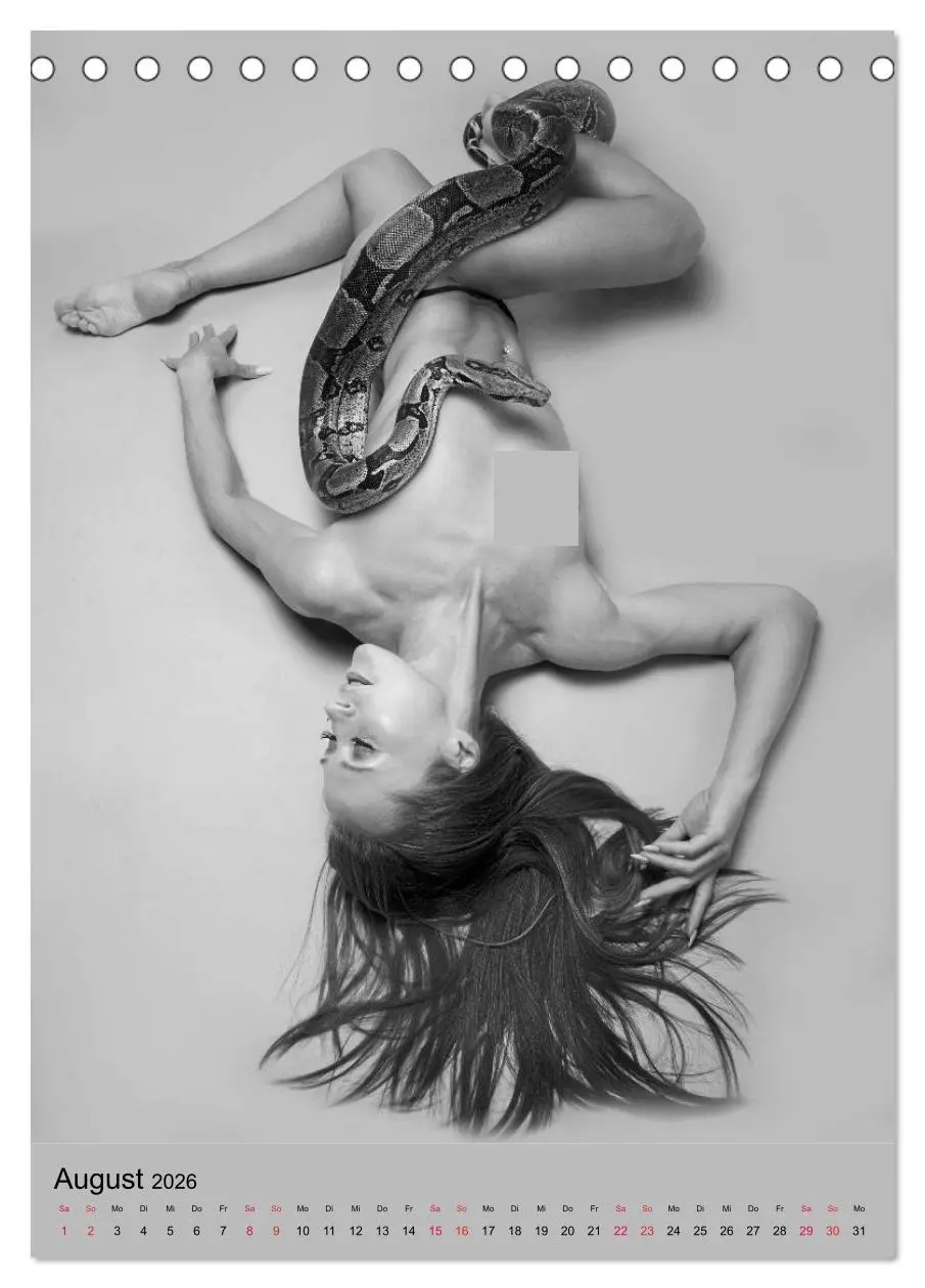 Bild: 9783516390322 | MS UNIVERSE (Tischkalender 2026 DIN A5 hoch), CALVENDO Monatskalender