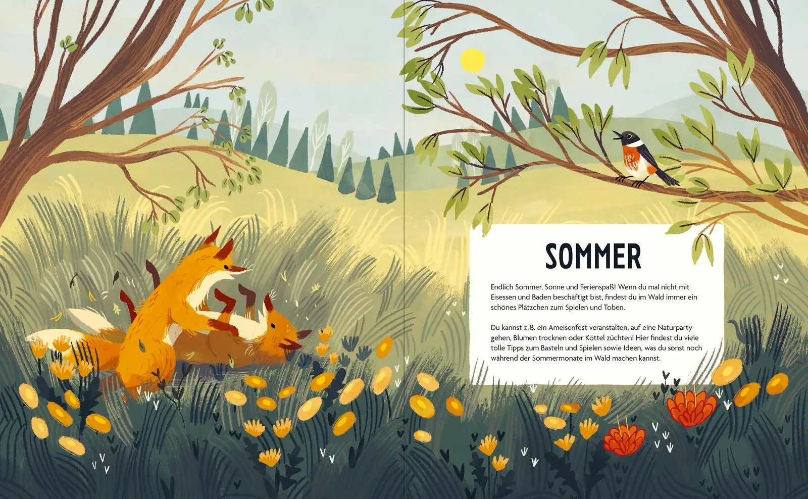 Bild: 9783629010322 | Spielplatz Wald | Julia Wiberg | Buch | 72 S. | Deutsch | 2025