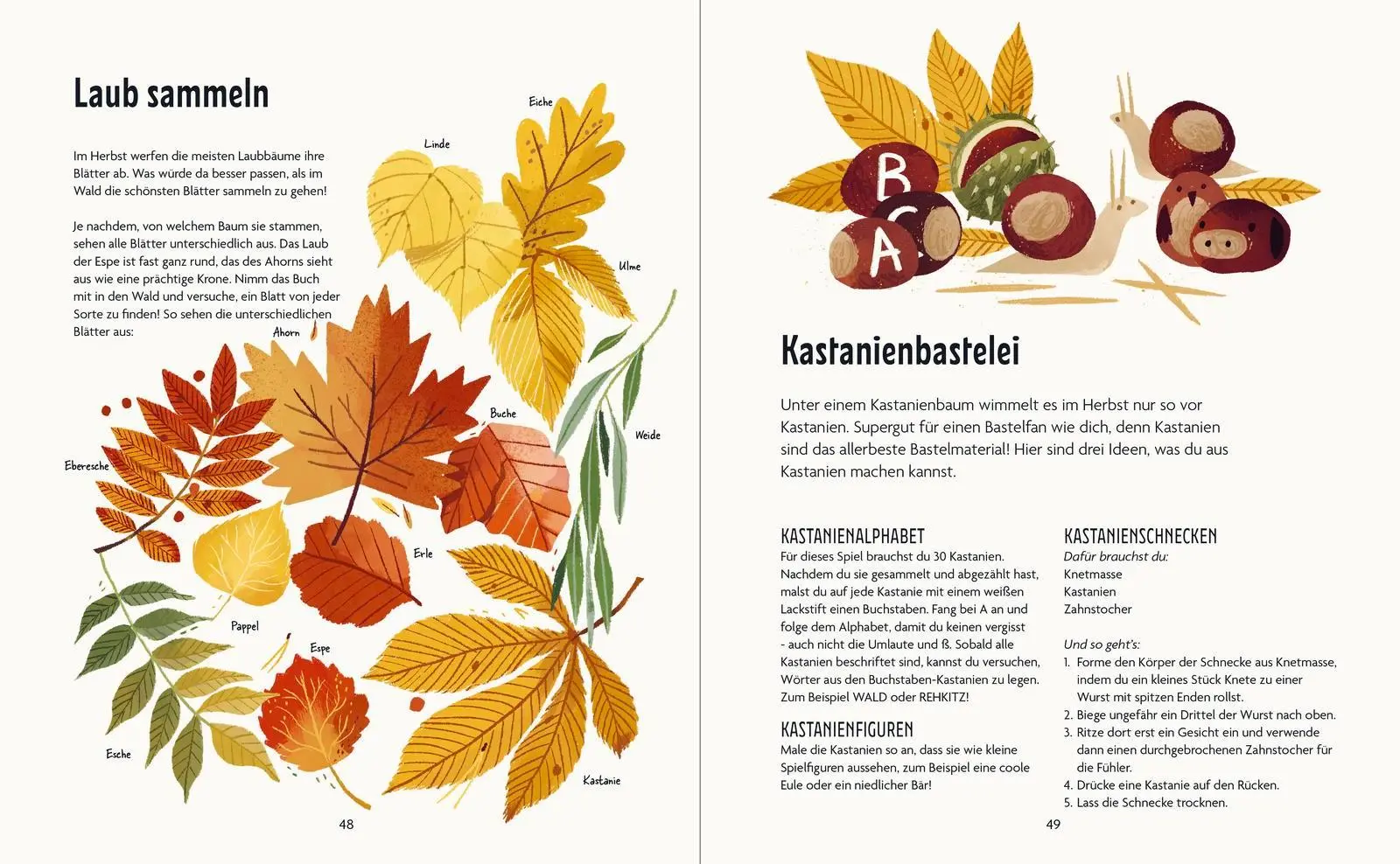 Bild: 9783629010322 | Spielplatz Wald | Julia Wiberg | Buch | 72 S. | Deutsch | 2025