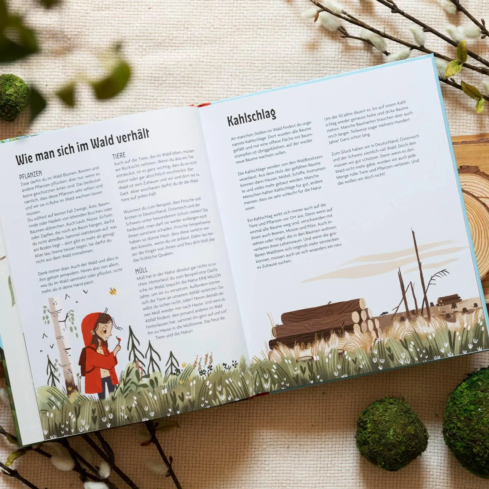 Bild: 9783629010322 | Spielplatz Wald | Julia Wiberg | Buch | 72 S. | Deutsch | 2025