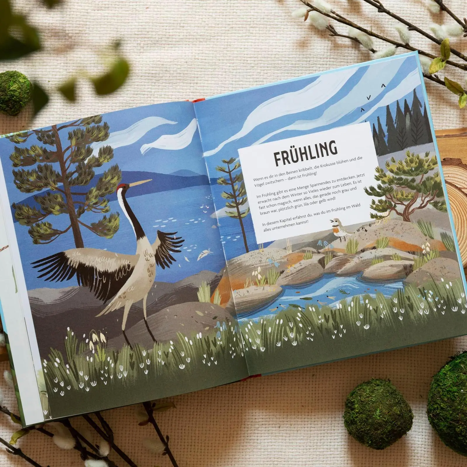Bild: 9783629010322 | Spielplatz Wald | Julia Wiberg | Buch | 72 S. | Deutsch | 2025