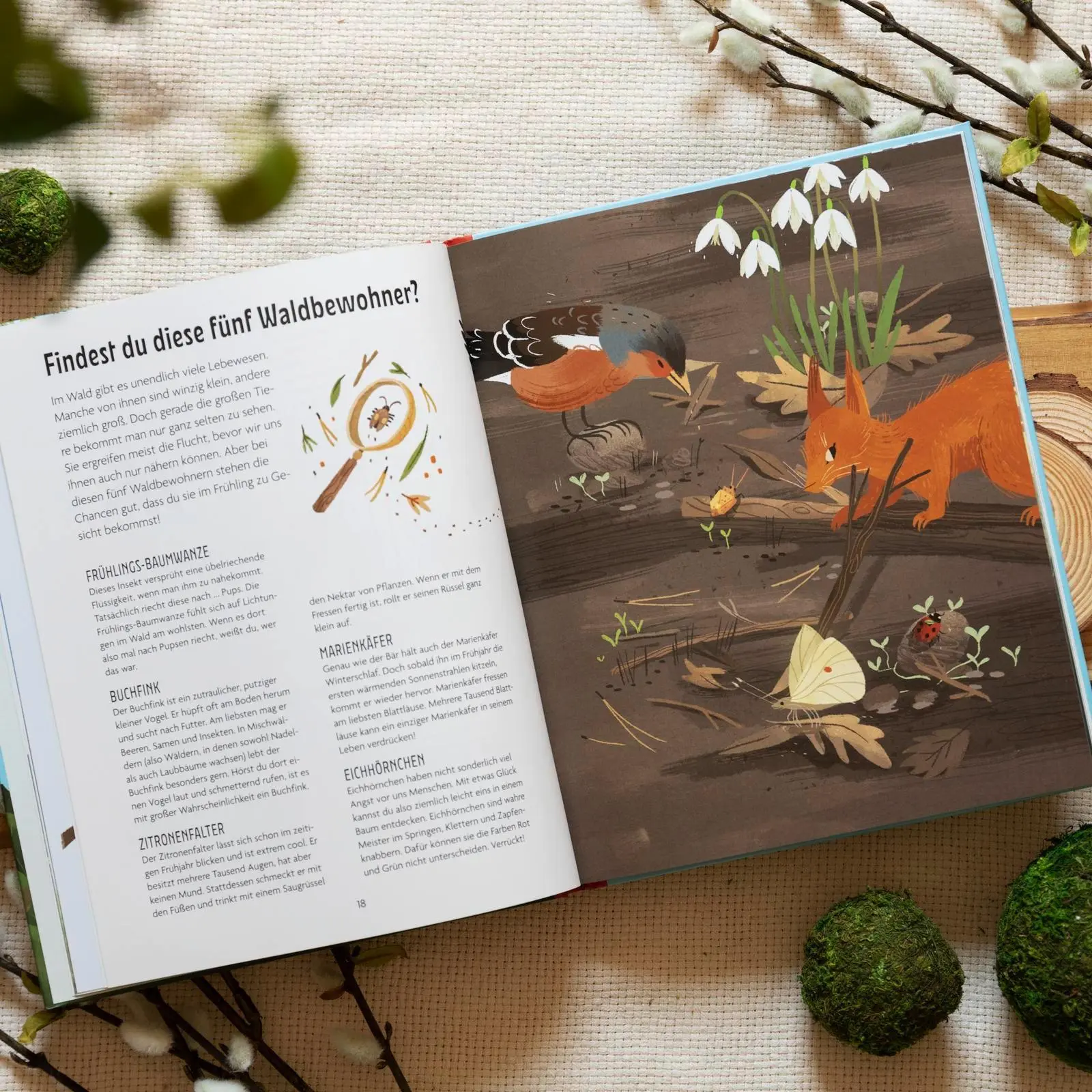 Bild: 9783629010322 | Spielplatz Wald | Julia Wiberg | Buch | 72 S. | Deutsch | 2025