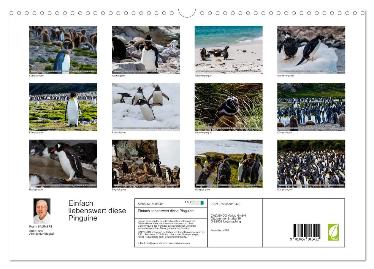 Bild: 9783457810422 | Einfach liebenswert diese Pinguine (Wandkalender 2026 DIN A3 quer),...