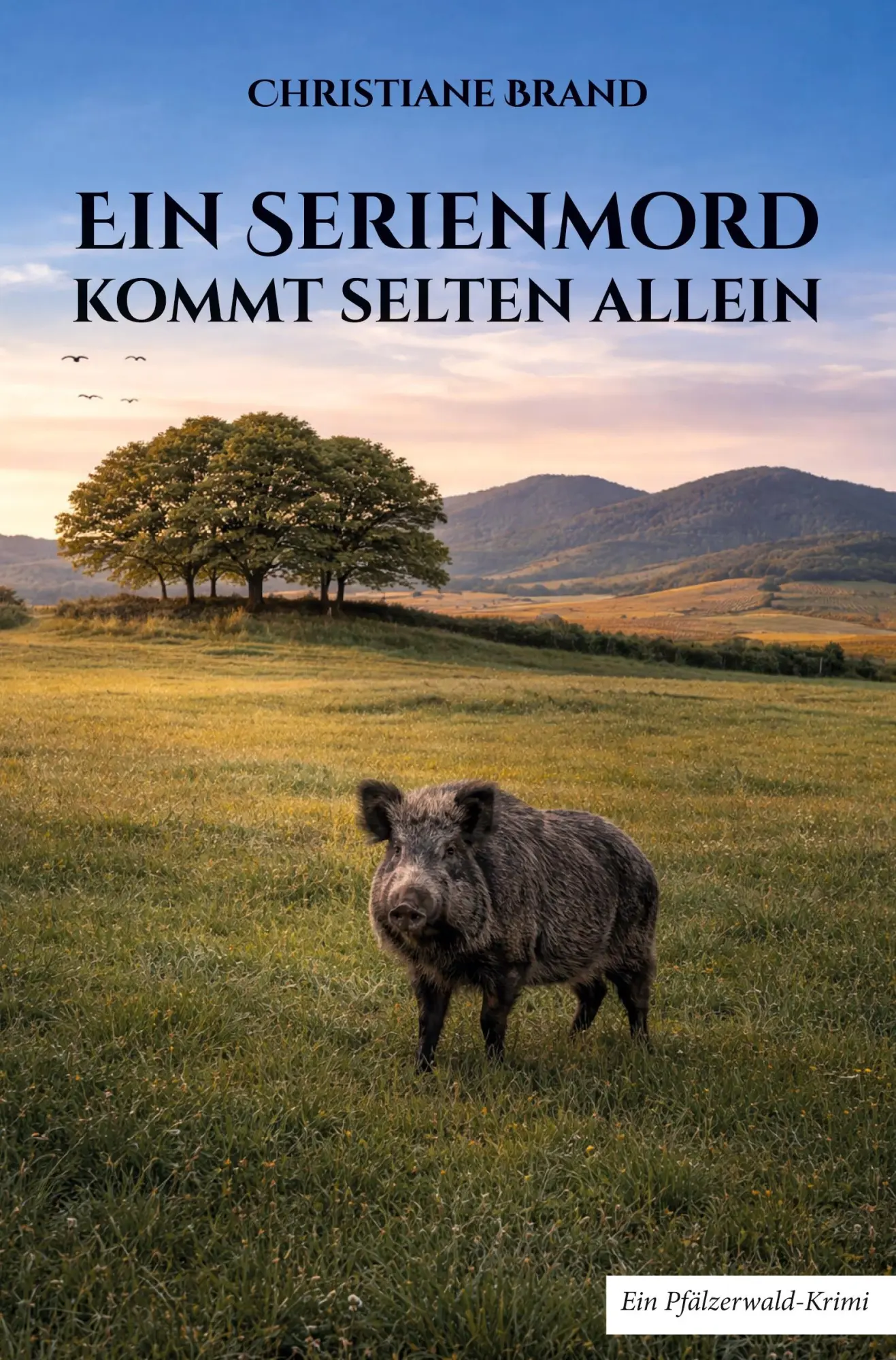 Cover: 9783961030422 | Ein Serienmord kommt selten allein | Christiane Brand | Taschenbuch