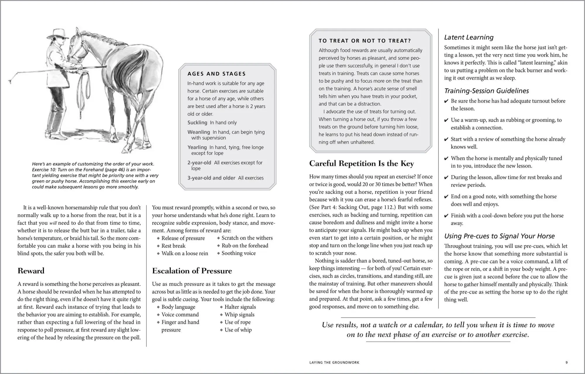 Bild: 9781612120522 | 101 Ground Training Exercises for Every Horse &amp; Handler | Cherry Hill