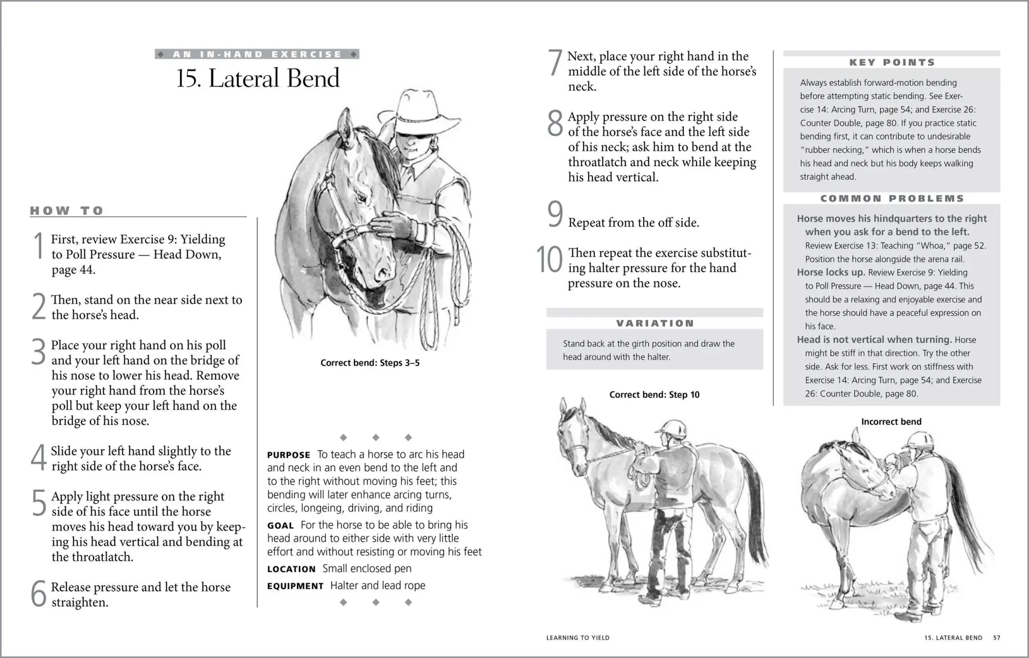 Bild: 9781612120522 | 101 Ground Training Exercises for Every Horse &amp; Handler | Cherry Hill