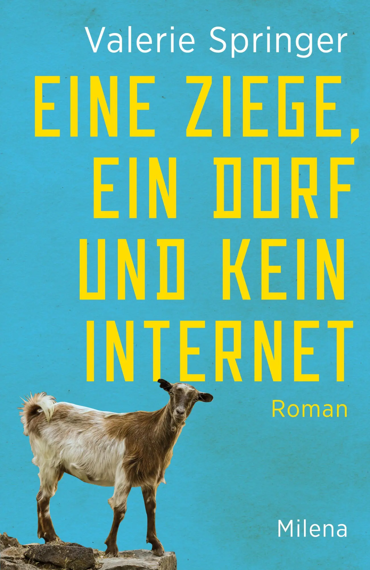 Cover: 9783903460522 | Eine Ziege, ein Dorf und kein Internet | Valerie Springer | Buch