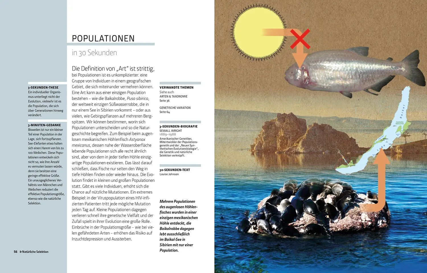 Bild: 9789464990522 | Die Evolution in 30 Sekunden | Nicholoas Battey (Ed. (u. a.) | Buch