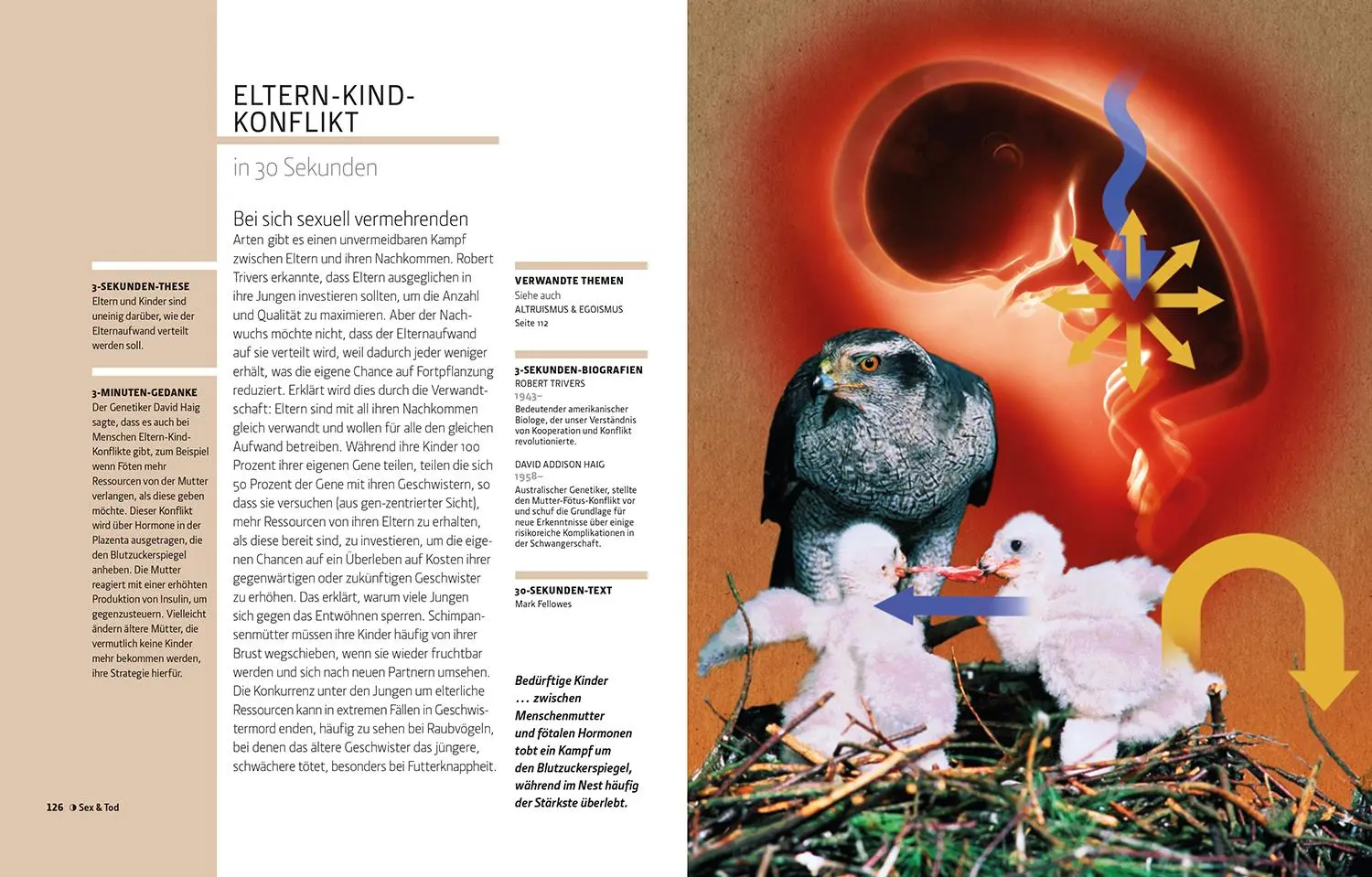Bild: 9789464990522 | Die Evolution in 30 Sekunden | Nicholoas Battey (Ed. (u. a.) | Buch
