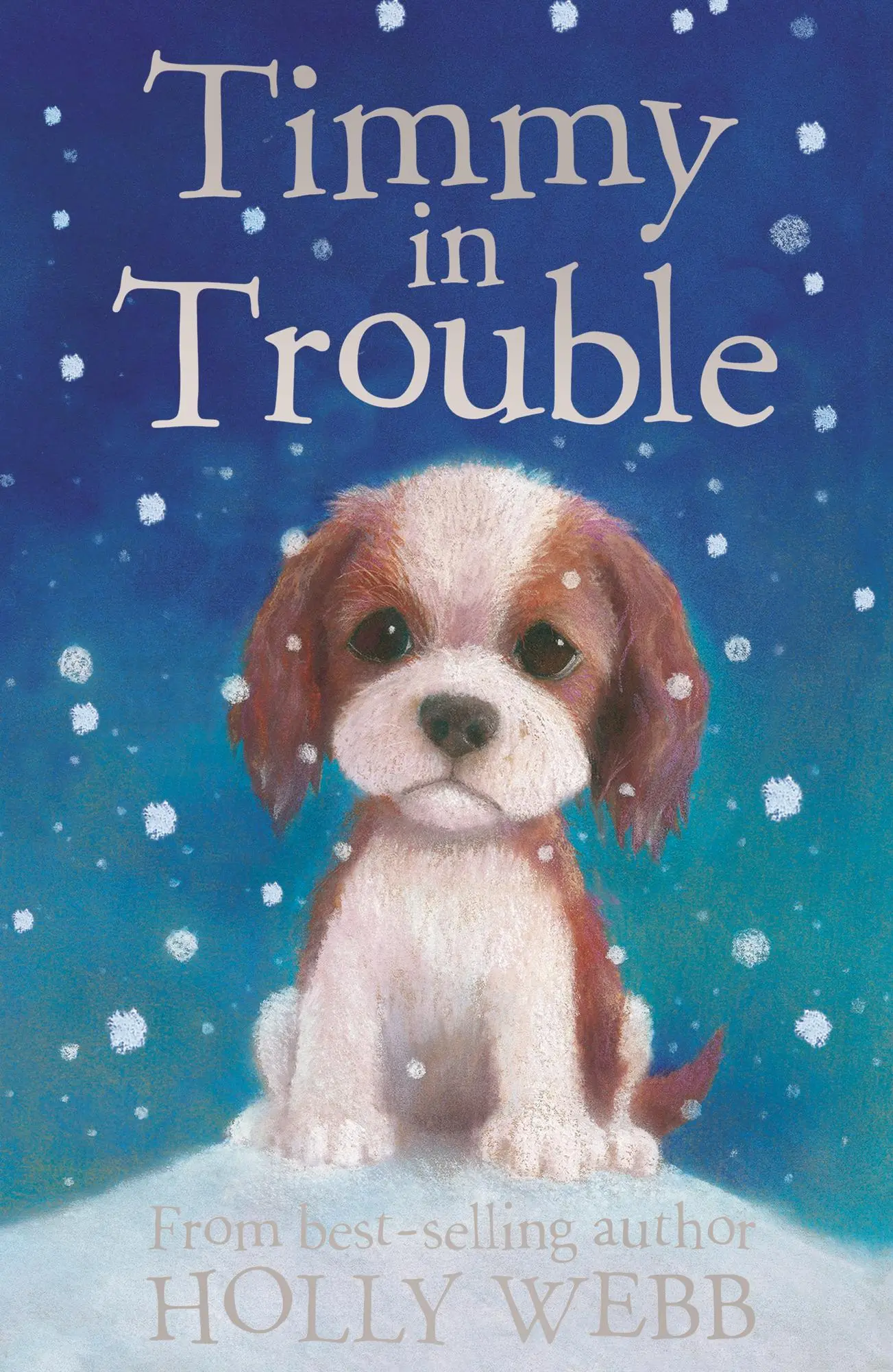 Cover: 9781847150622 | Webb, H: Timmy in Trouble | Holly Webb | Taschenbuch | Englisch | 2008