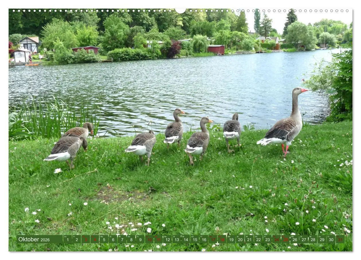 Bild: 9783457580622 | Wunderschöne Mecklenburgische Seenplatte (Wandkalender 2026 DIN A2...