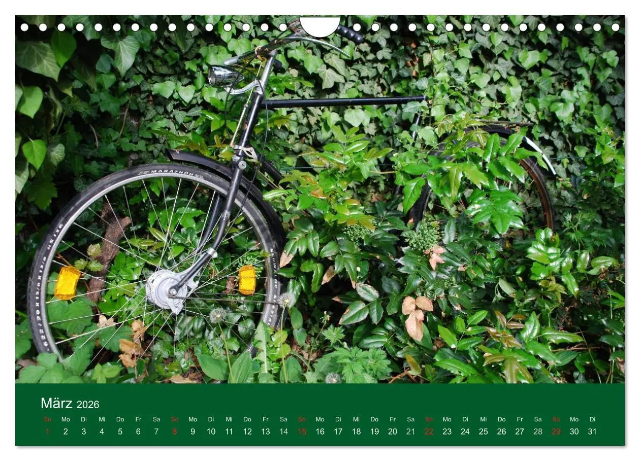 Bild: 9783516120622 | Das Fahrrad 2026 (Wandkalender 2026 DIN A4 quer), CALVENDO...