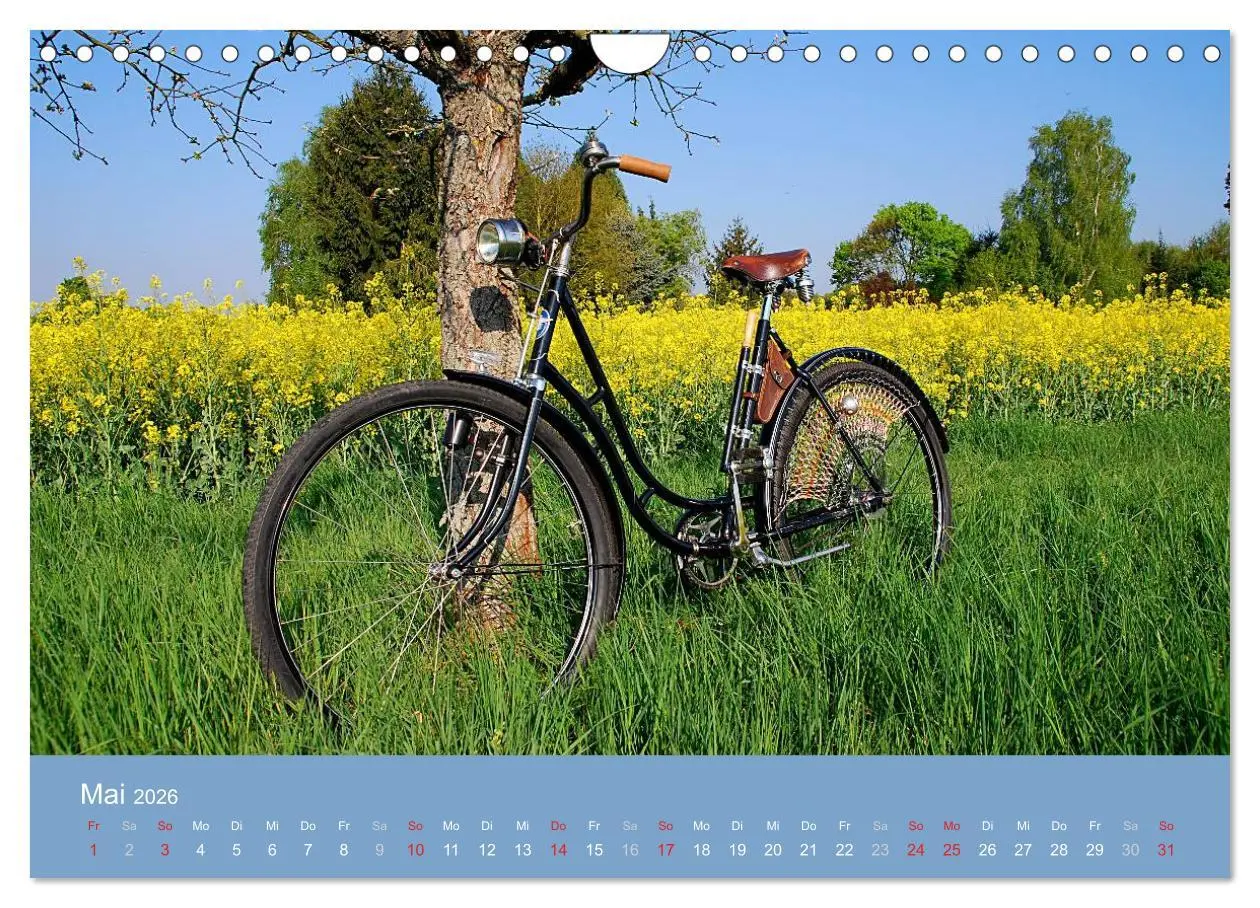 Bild: 9783516120622 | Das Fahrrad 2026 (Wandkalender 2026 DIN A4 quer), CALVENDO...