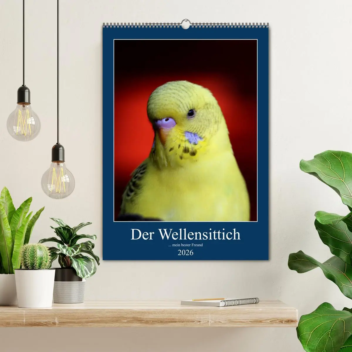 Bild: 9783516360622 | Der Wellensittich - mein bester Freund (Wandkalender 2026 DIN A2...