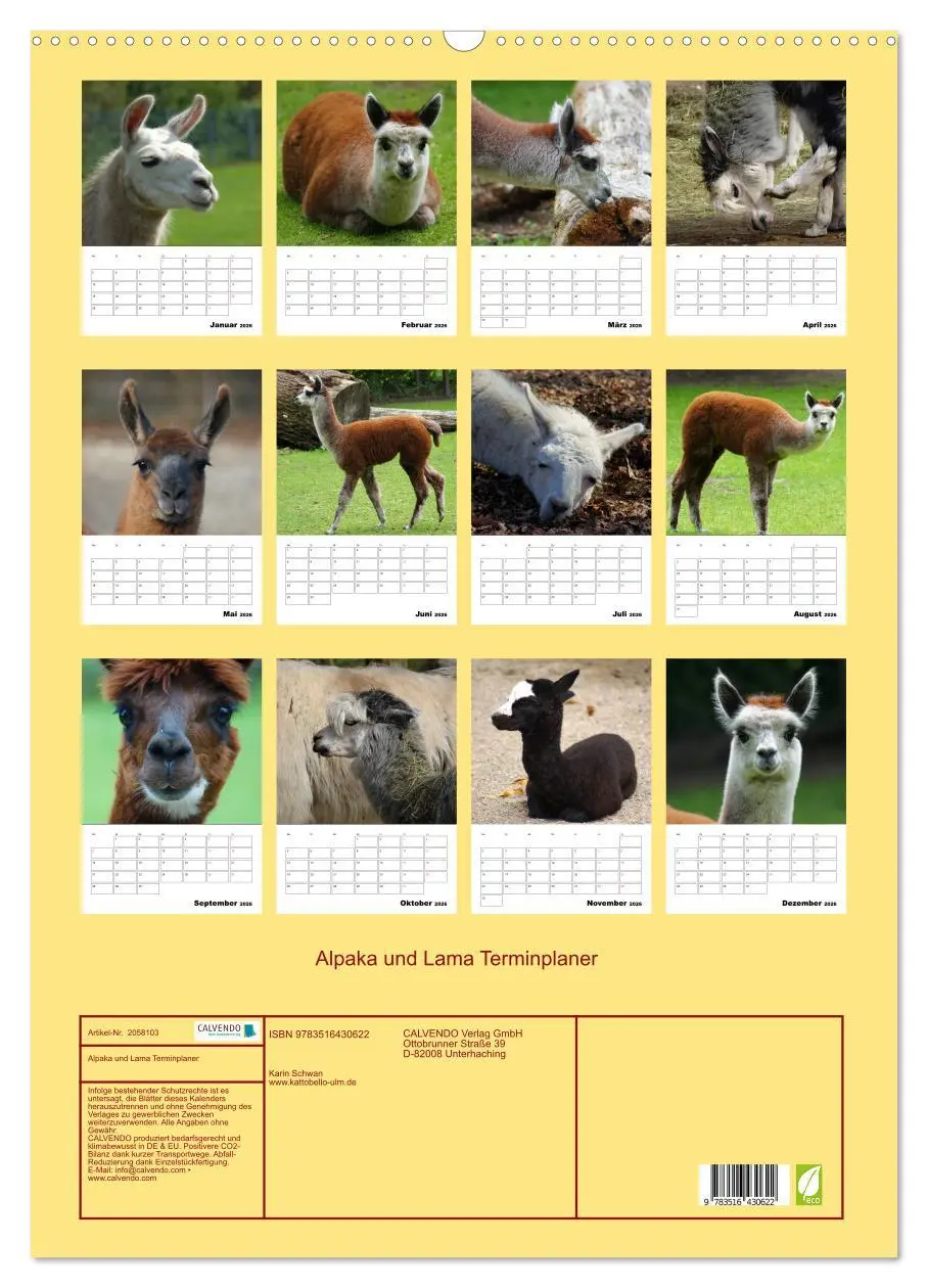 Bild: 9783516430622 | Alpaka und Lama Terminplaner (Wandkalender 2026 DIN A2 hoch),...