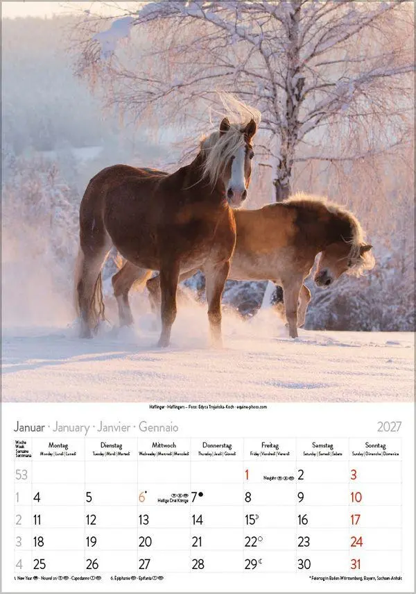 Bild: 9783819300622 | Pferde 2027 | Verlag Korsch | Kalender | Spiralbindung | 13 S. | 2027