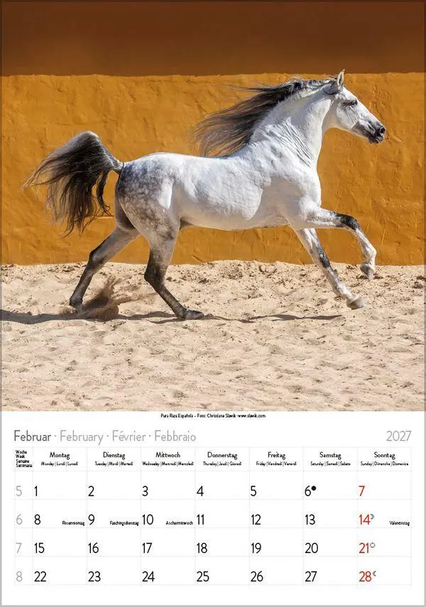 Bild: 9783819300622 | Pferde 2027 | Verlag Korsch | Kalender | Spiralbindung | 13 S. | 2027