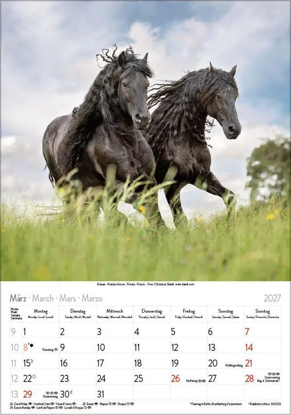 Bild: 9783819300622 | Pferde 2027 | Verlag Korsch | Kalender | Spiralbindung | 13 S. | 2027