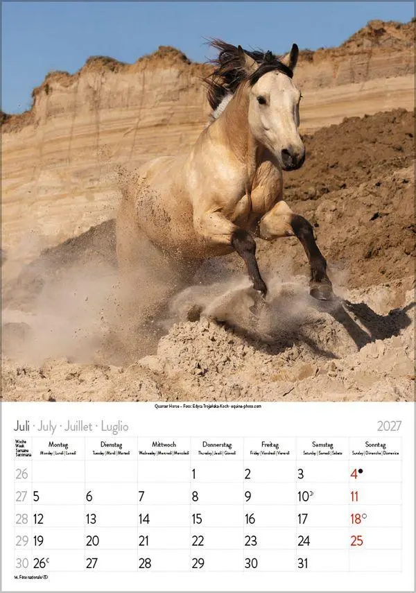 Bild: 9783819300622 | Pferde 2027 | Verlag Korsch | Kalender | Spiralbindung | 13 S. | 2027