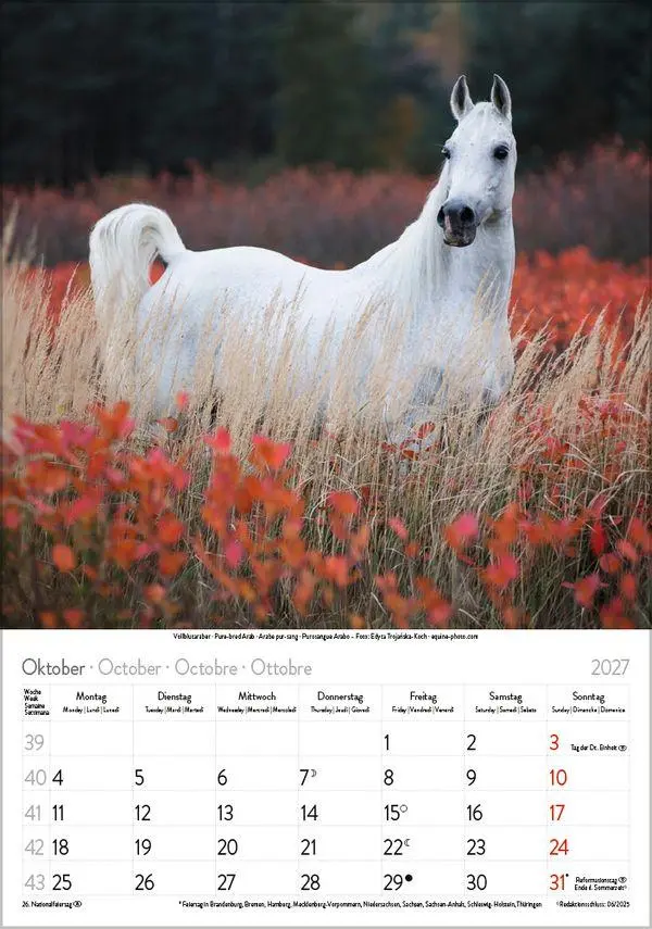 Bild: 9783819300622 | Pferde 2027 | Verlag Korsch | Kalender | Spiralbindung | 13 S. | 2027
