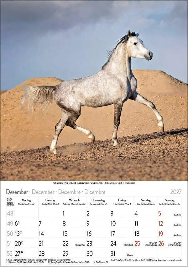 Bild: 9783819300622 | Pferde 2027 | Verlag Korsch | Kalender | Spiralbindung | 13 S. | 2027