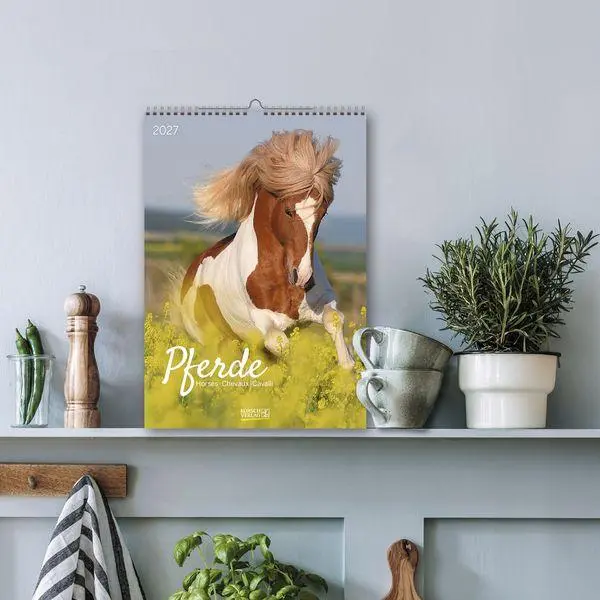 Bild: 9783819300622 | Pferde 2027 | Verlag Korsch | Kalender | Spiralbindung | 13 S. | 2027