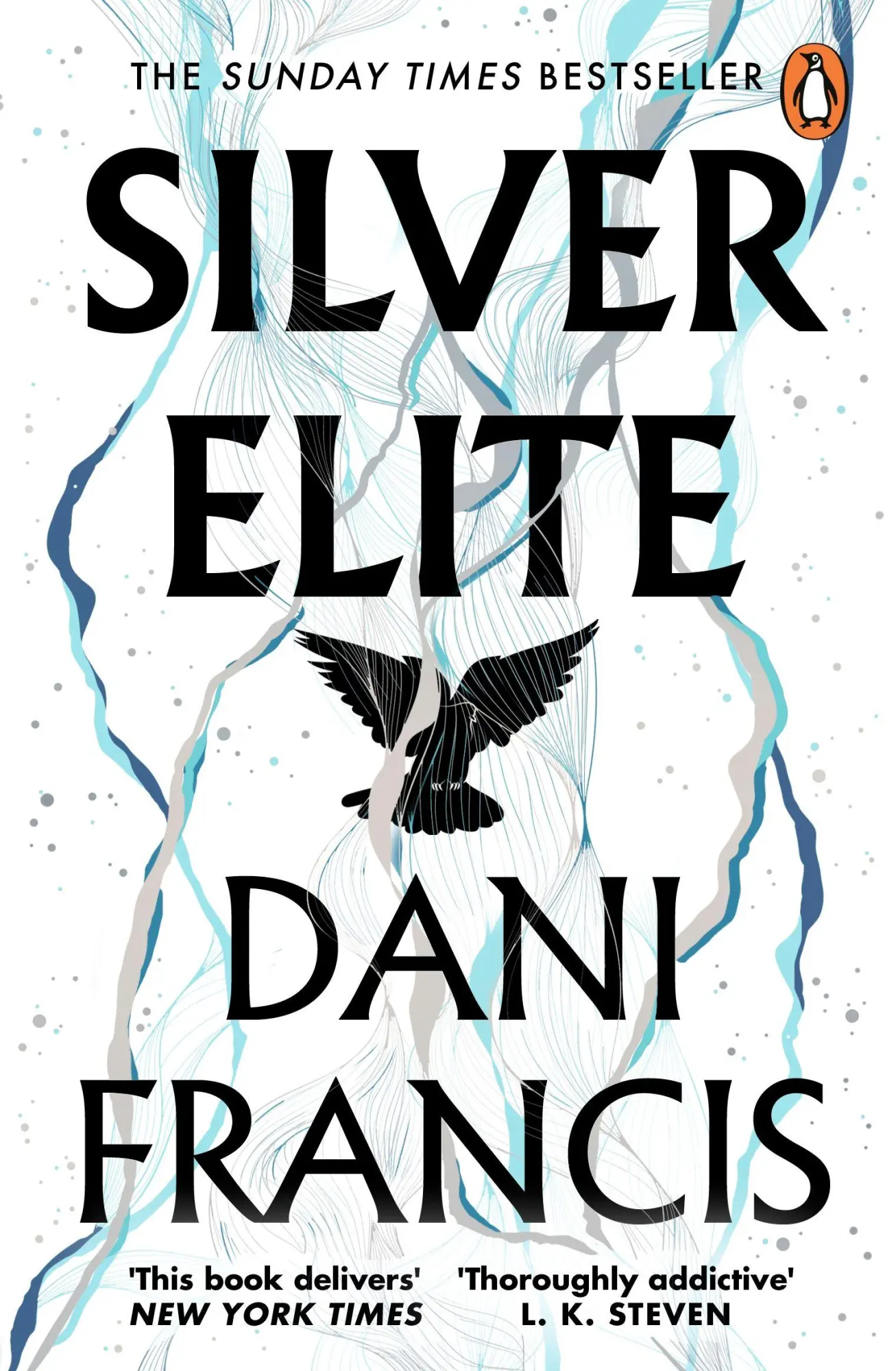 Cover: 9781804950722 | Silver Elite | Dani Francis | Taschenbuch | 528 S. | Englisch | 2026