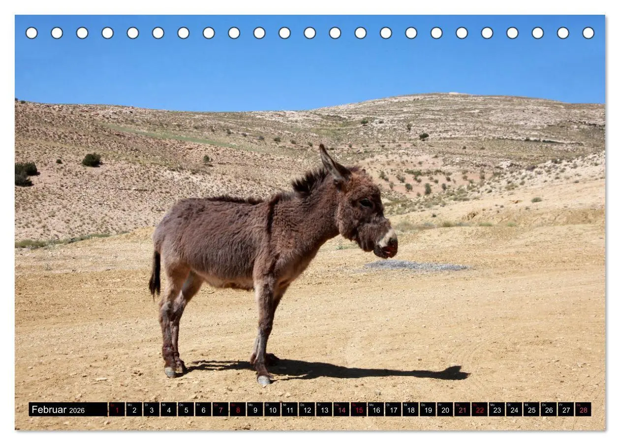 Bild: 9783457640722 | WIR SIND ESEL (Tischkalender 2026 DIN A5 quer), CALVENDO...