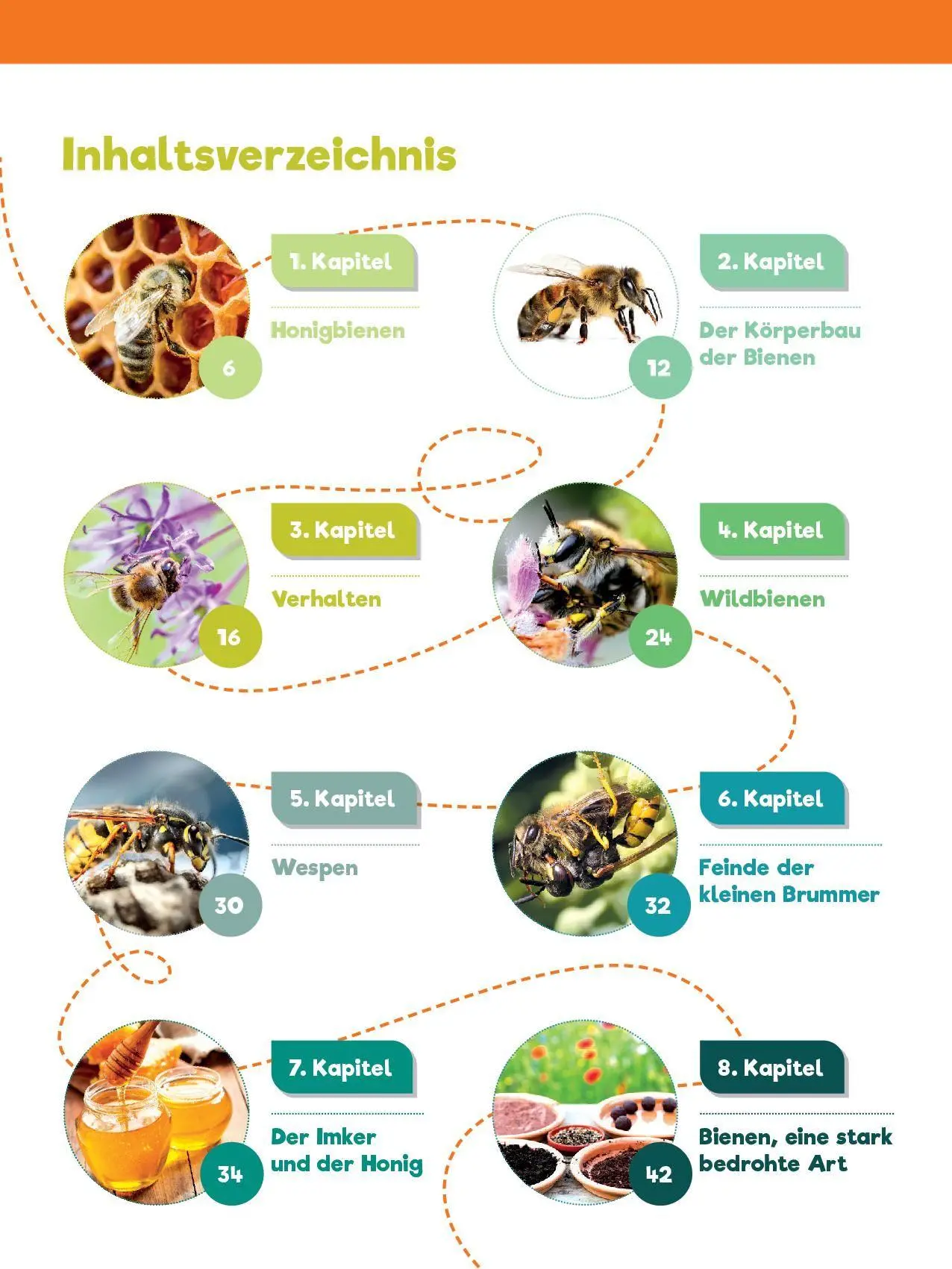 Bild: 9783965200722 | Leselauscher Wissen: Bienen (inkl. CD) | Melanie Braun | Buch | 48 S.
