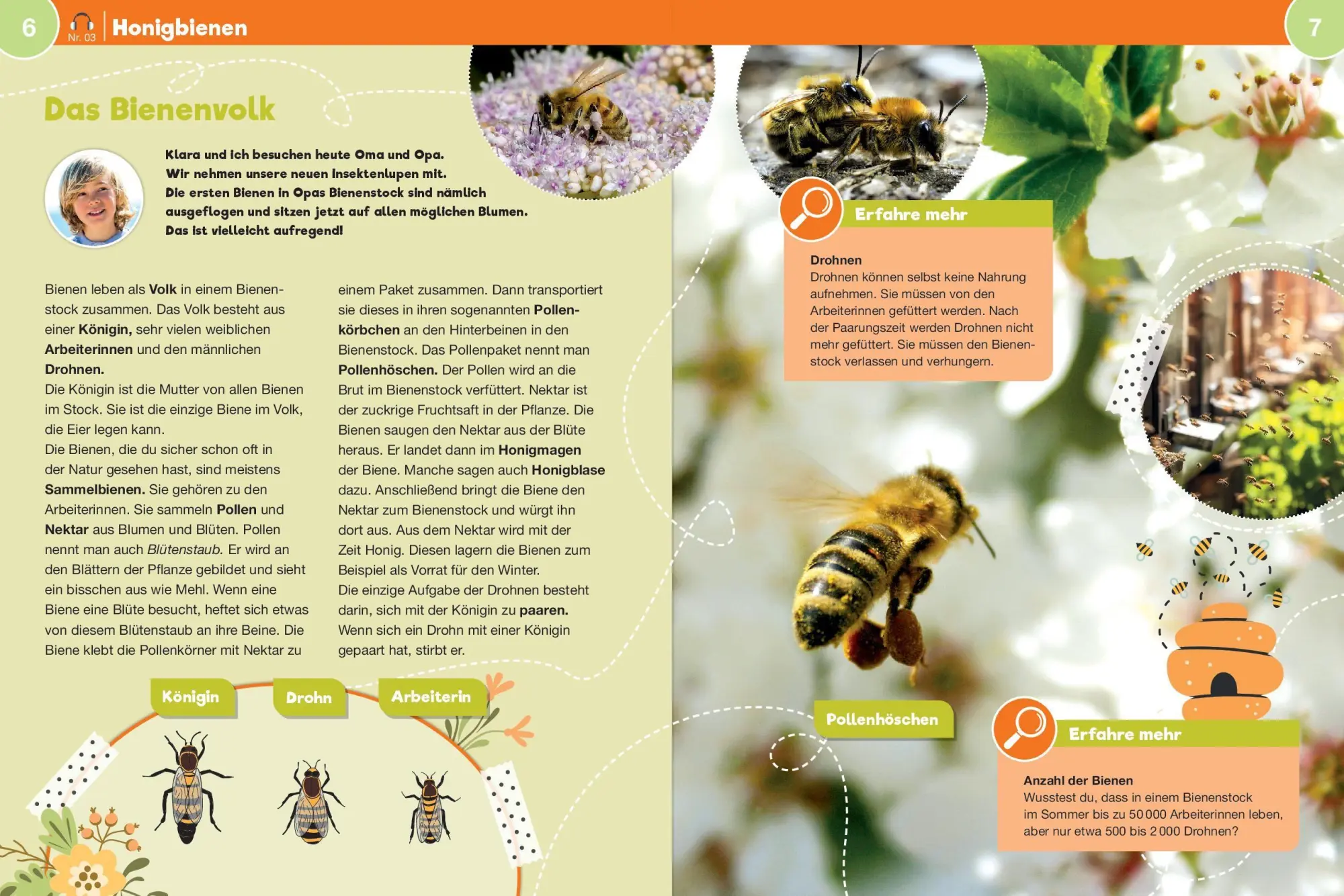 Bild: 9783965200722 | Leselauscher Wissen: Bienen (inkl. CD) | Melanie Braun | Buch | 48 S.