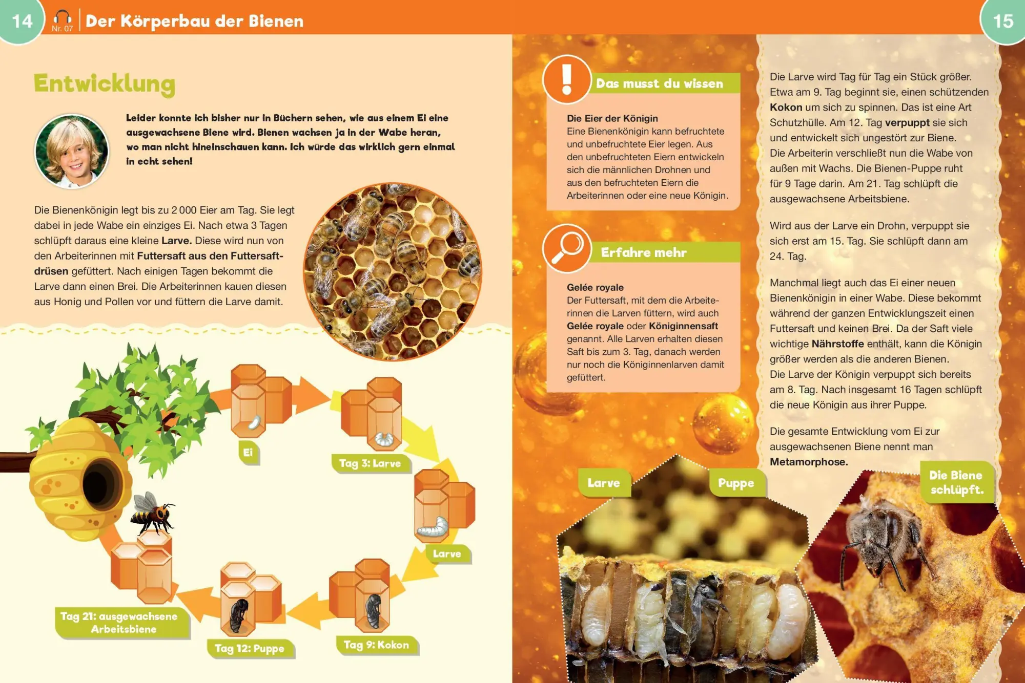 Bild: 9783965200722 | Leselauscher Wissen: Bienen (inkl. CD) | Melanie Braun | Buch | 48 S.