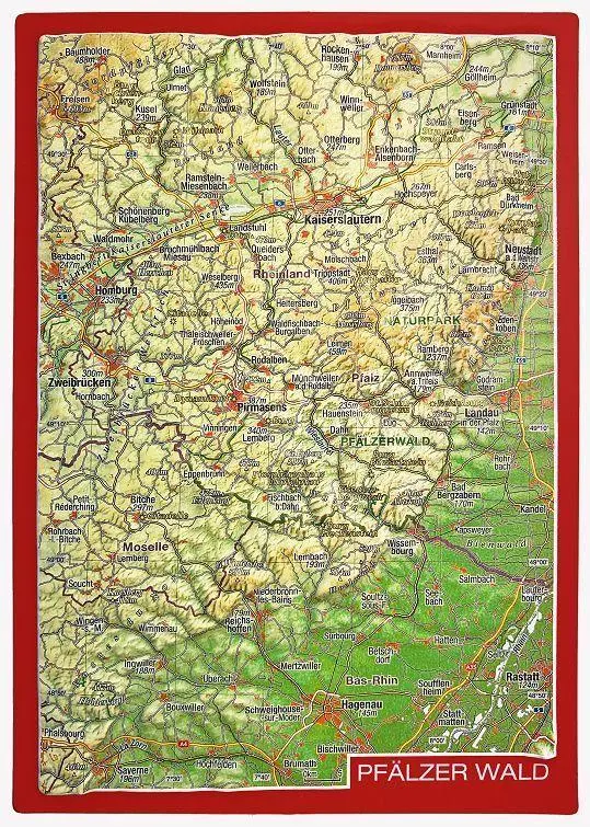 Cover: 4251405900822 | Reliefpostkarte Pfälzer Wald | André Markgraf (u. a.) | (Land-)Karte