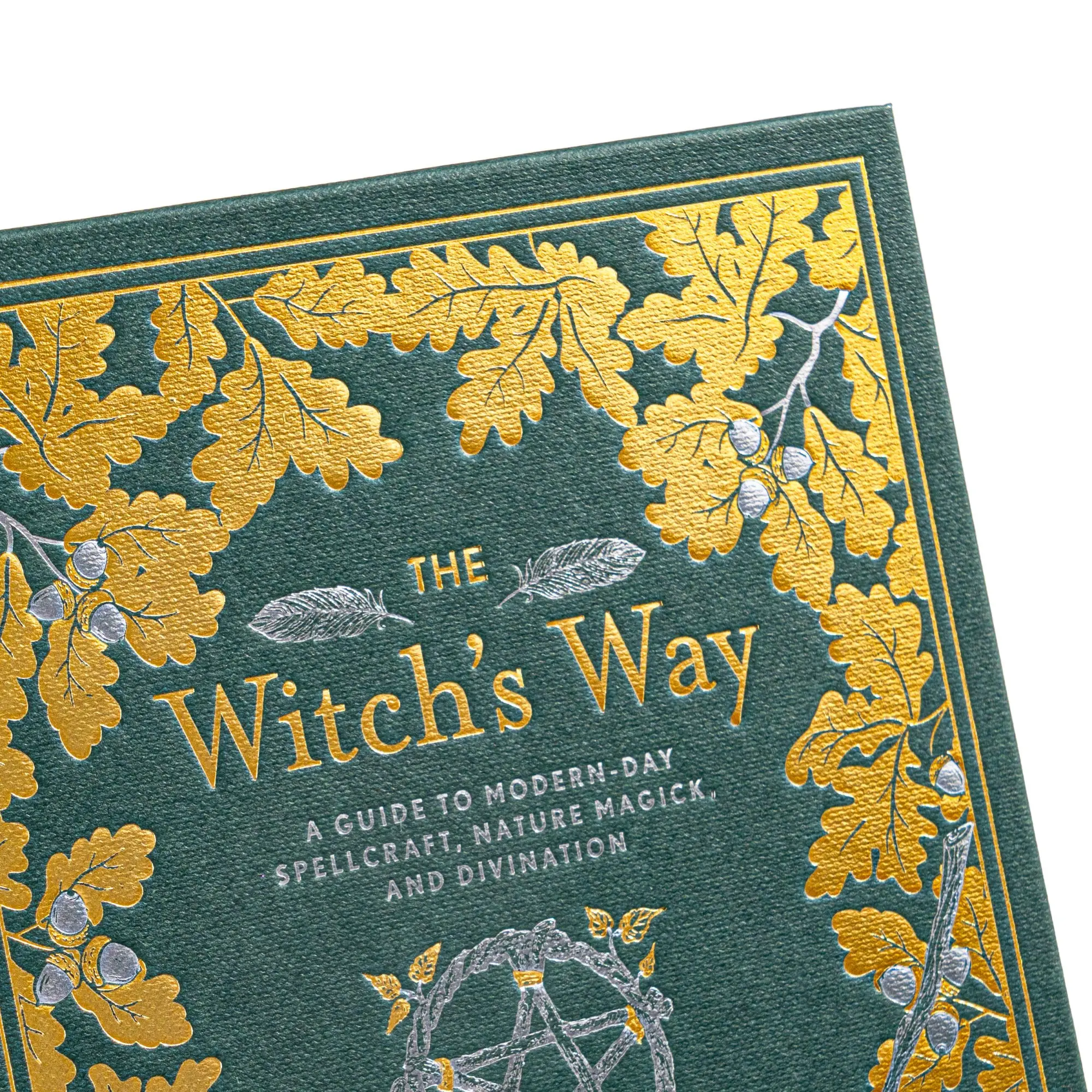 Bild: 9781454930822 | The Witch's Way | Shawn Robbins (u. a.) | Buch | Gebunden | Englisch