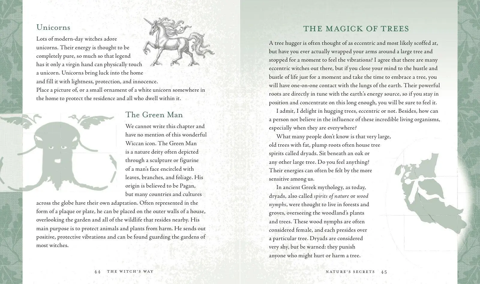 Bild: 9781454930822 | The Witch's Way | Shawn Robbins (u. a.) | Buch | Gebunden | Englisch
