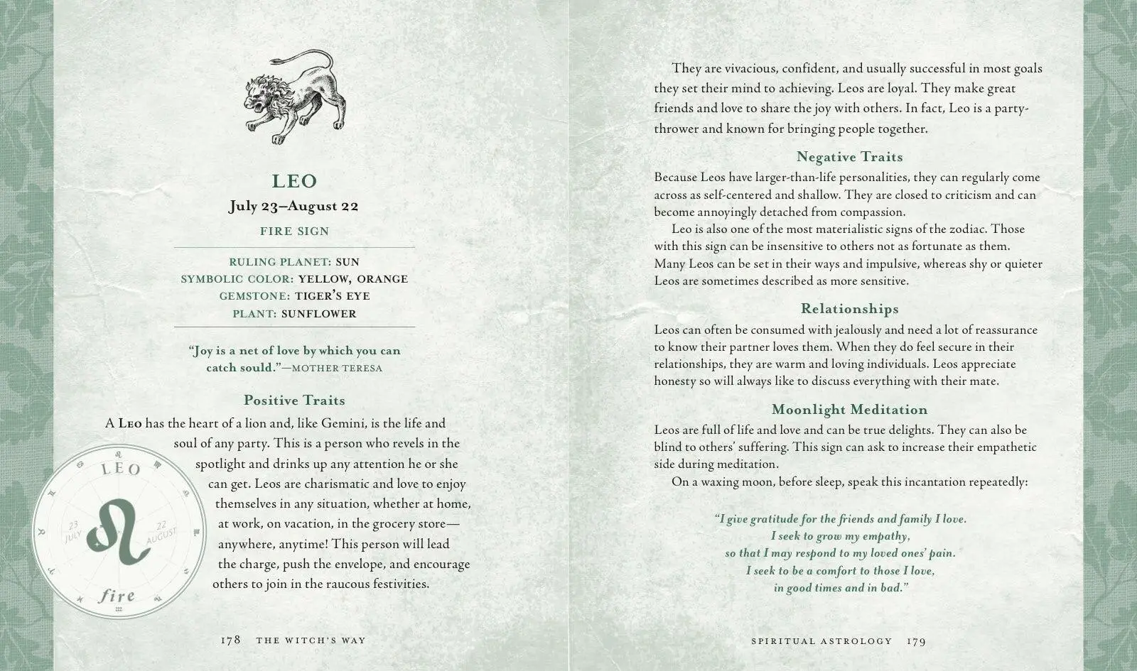Bild: 9781454930822 | The Witch's Way | Shawn Robbins (u. a.) | Buch | Gebunden | Englisch