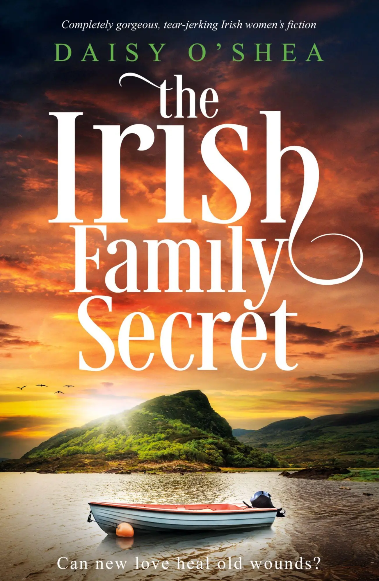 Cover: 9781835250822 | The Irish Family Secret | Daisy O'Shea | Taschenbuch | Englisch | 2024