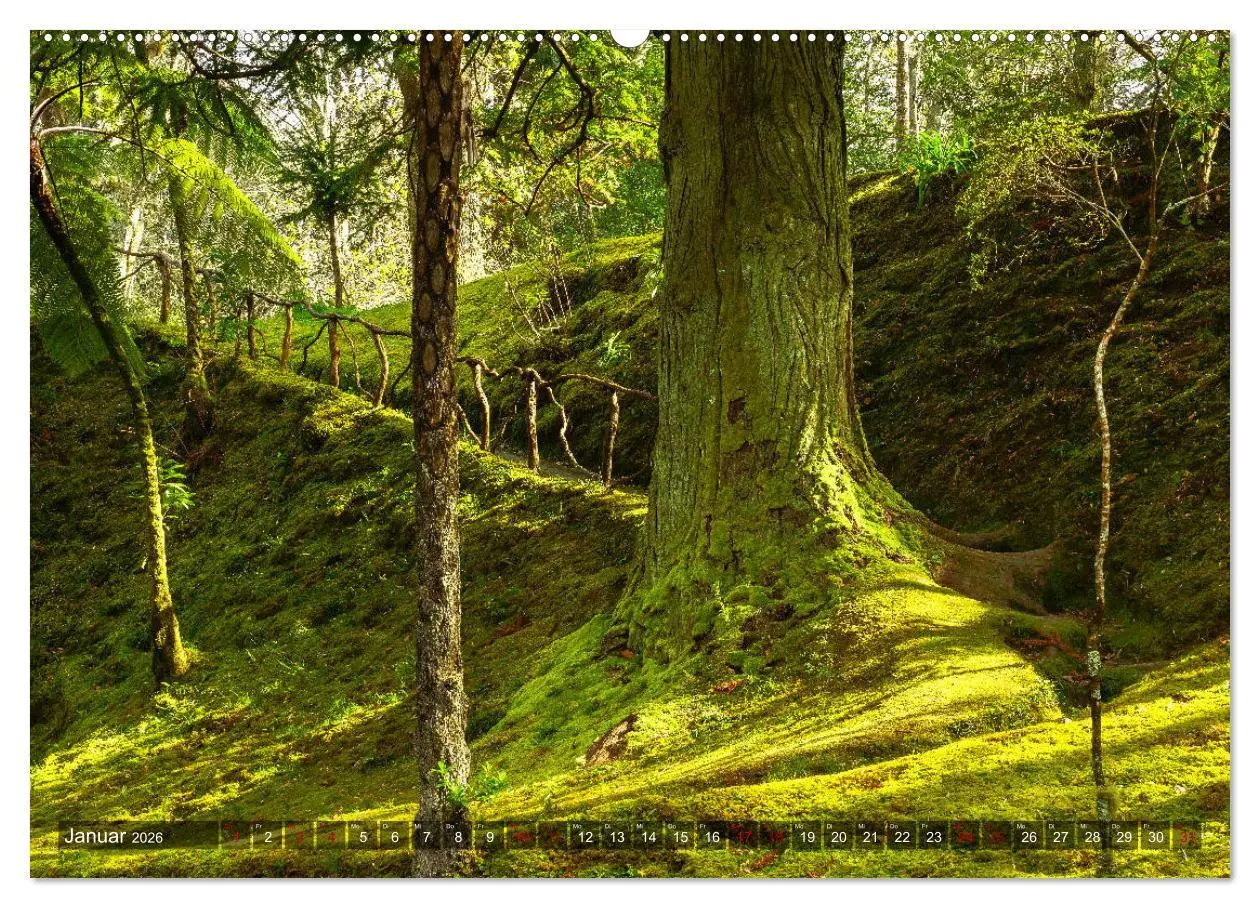 Bild: 9783457860922 | Terra Nostra Garten - ein botanisches Juwel auf den Azoren...