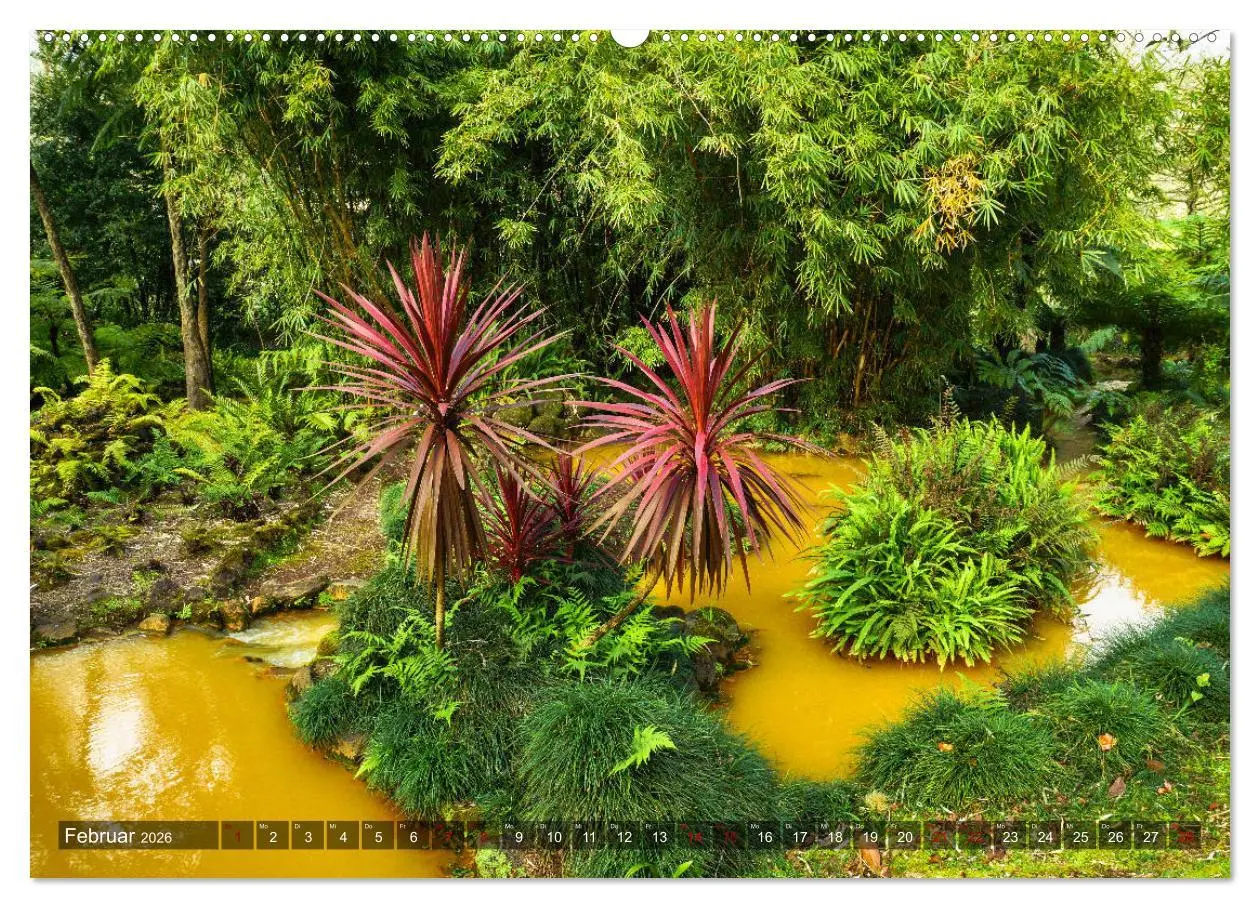 Bild: 9783457860922 | Terra Nostra Garten - ein botanisches Juwel auf den Azoren...