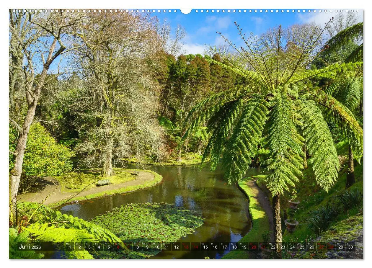 Bild: 9783457860922 | Terra Nostra Garten - ein botanisches Juwel auf den Azoren...