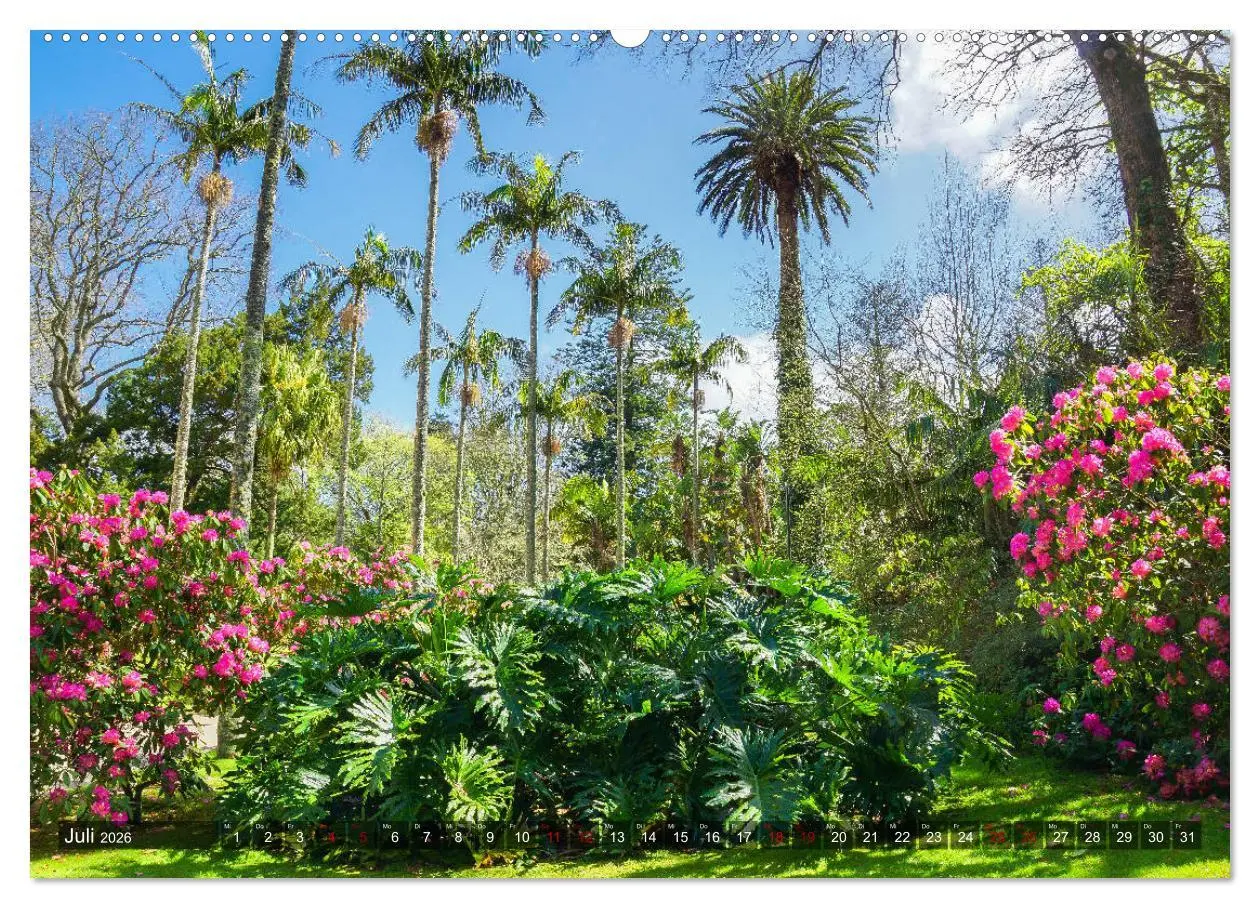 Bild: 9783457860922 | Terra Nostra Garten - ein botanisches Juwel auf den Azoren...